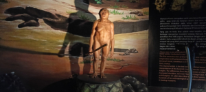 Nachbildung eines Frühmenschen:  Homo floresiensis („Mensch von Flores“), ausgestellt im Archäologischen Museum von Sangiran (Indonesien), Bildnachweis: DEVA PRASKA DEWANTARA / Shutterstock.com