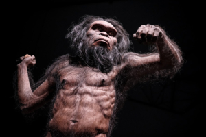 Nachbildung eines Homo habilis, ausgestellt im im Rama9-Museum in Bangkok, Thailand, Bildnachweis: AKKHARAT JARUSILAWONG / Shutterstock.com