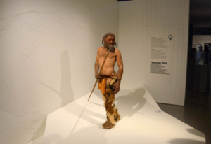 Ötzi ist der bekannteste Mensch aus der Kupfersteinzeit, Replik ausgestellt im Südtiroler Archäologiemuseum in Bozen (Italien), Bildnachweis: Zigres / Shutterstock.com