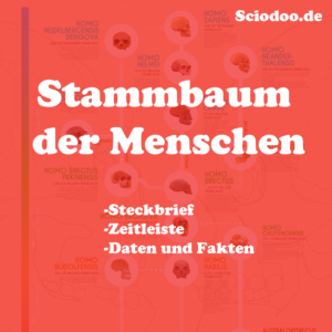 Was ist ein Frühmensch: Steckbrief, Fragen & Antworten - Geschichte ...