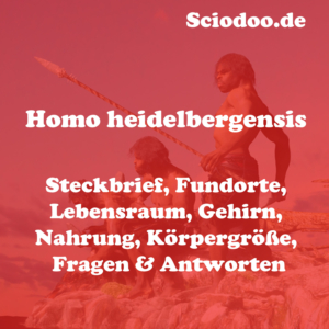 Kognitive Revolution einfach erklärt mit Steckbrief - Geschichte (Sciodoo)