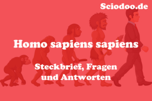 Was ist ein Frühmensch: Steckbrief, Fragen & Antworten - Geschichte ...