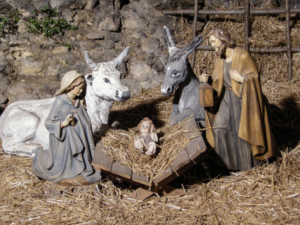 Weihnachtsgeschichte: Krippenszene mit Ochs und Esel, Bildnachweis: Steven Irons/shutterstock.com