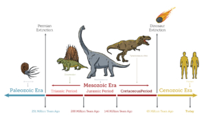 Ären des Phanerozoikums