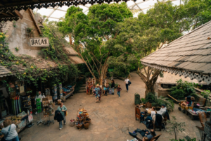 Blick auf Gondwanaland im Leipziger Zoo, Bildnachweis: Brester Irina / Shutterstock.com