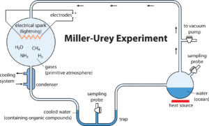 Miller-Urey-Experiment