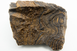 Stromatolithen